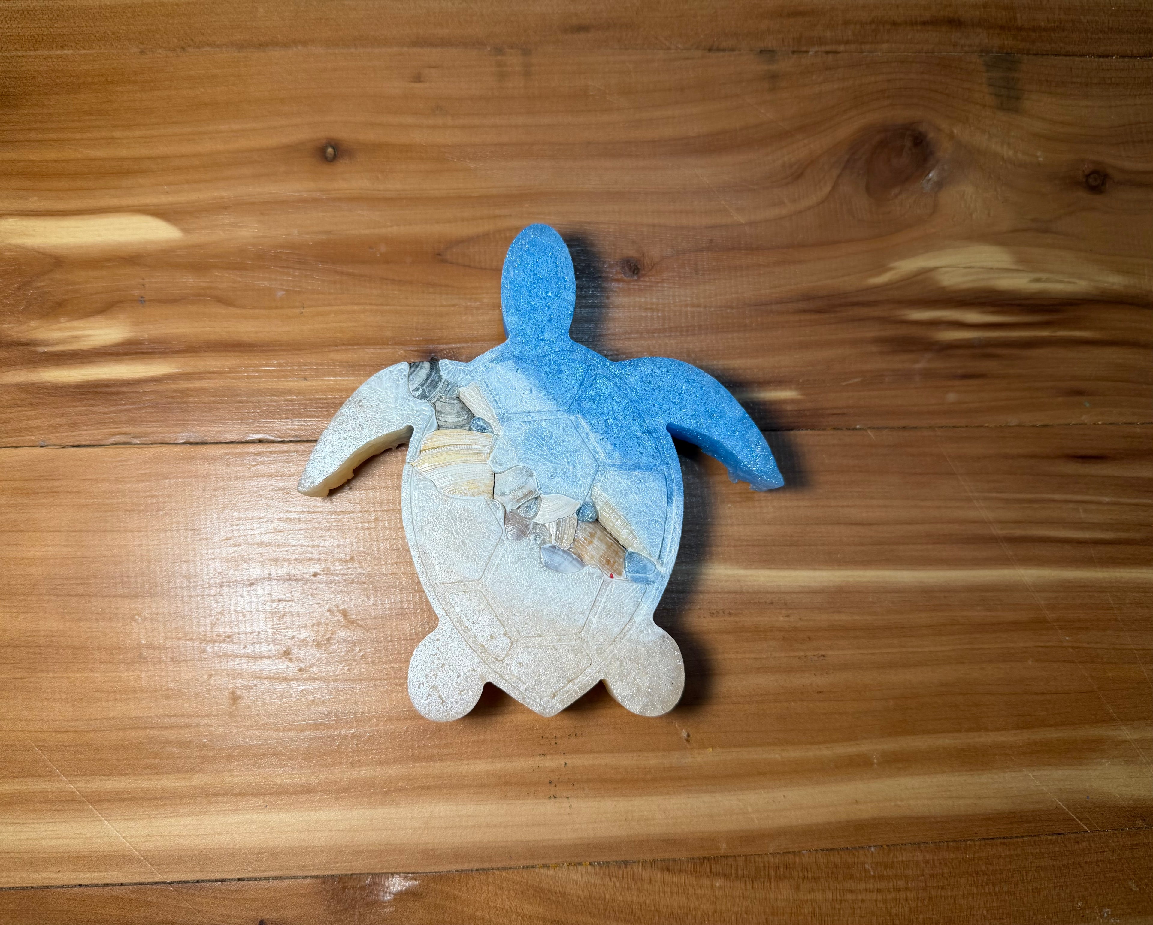 Sea Turtle Freshie