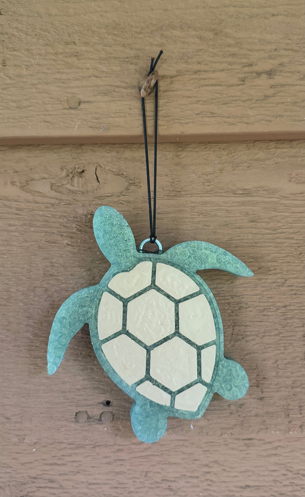 Turtle Freshie
